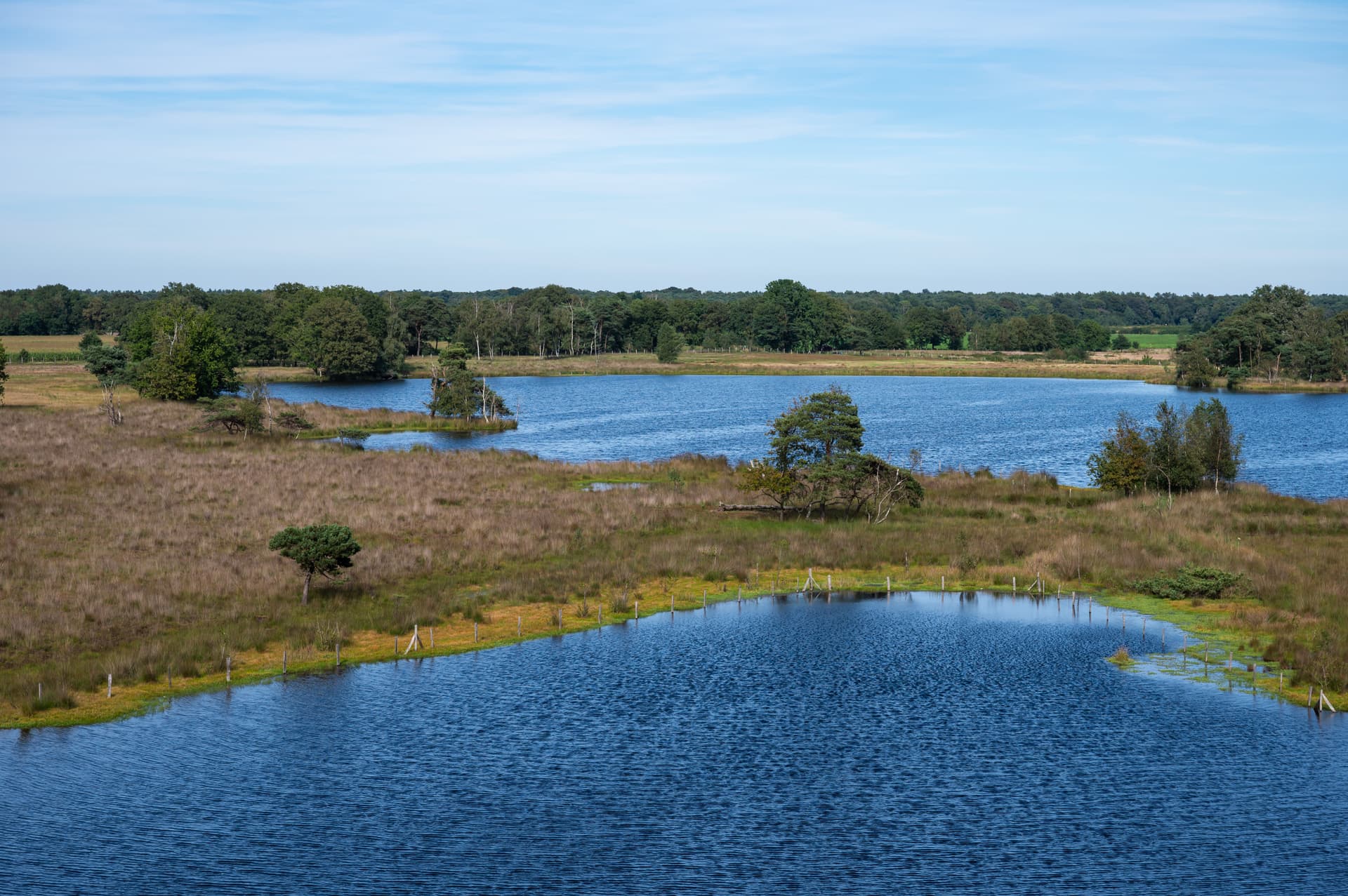 Blue lake water surrounded by brown marsh grass, small trees, and distant forest under a pale blue sky.