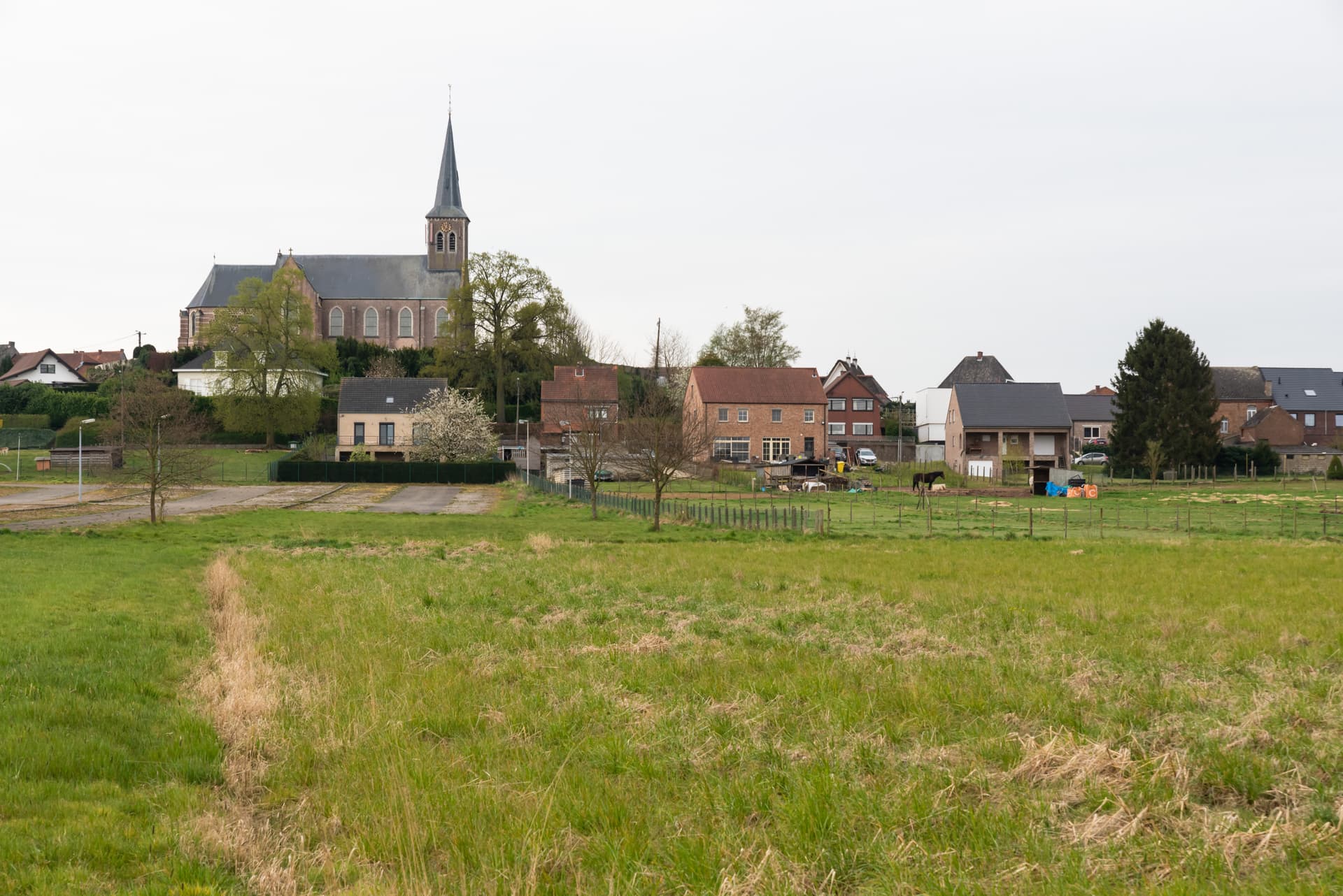Village with church steeple overlooking grassy field and residential houses in Scherpenheuvel.