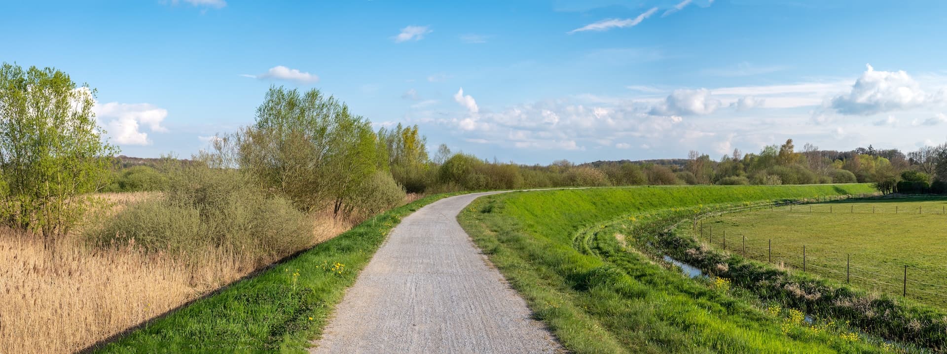 Cycling path curving through green landscape with dry reeds and blue sky