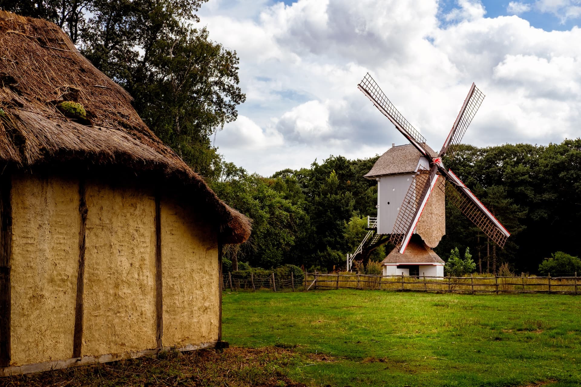 Thatched cottage next to a white windmill in a grassy field with dark trees.