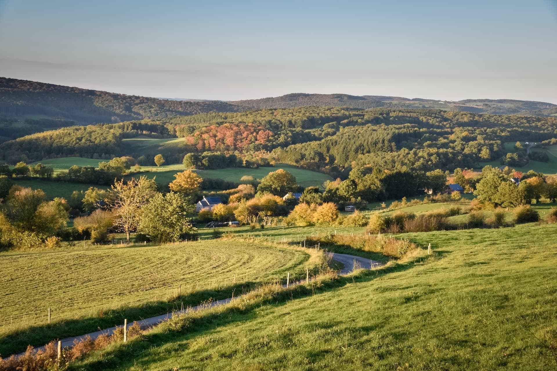 Rolling green hills and autumn foliage in the Ardennes countryside with a winding road.