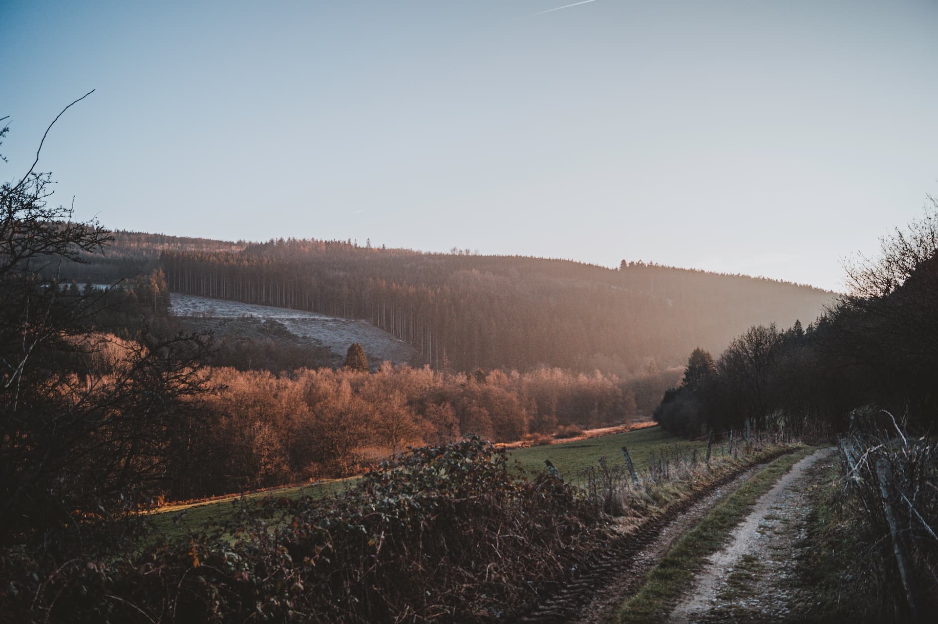 Dirt track leading toward rolling hills covered in dark forest at sunrise or sunset.