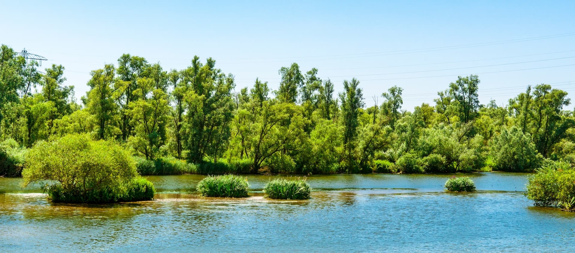 Waterway with lush green trees along the bank and small grassy islands under a clear blue sky.