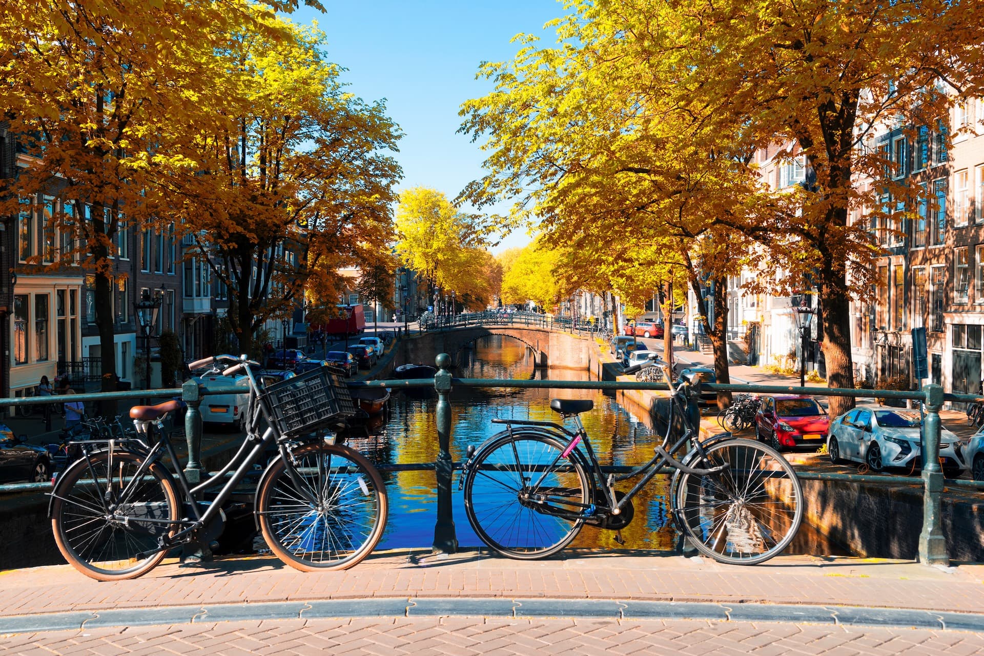 Two bicycles parked by a canal bridge with bright yellow autumn trees lining the street.