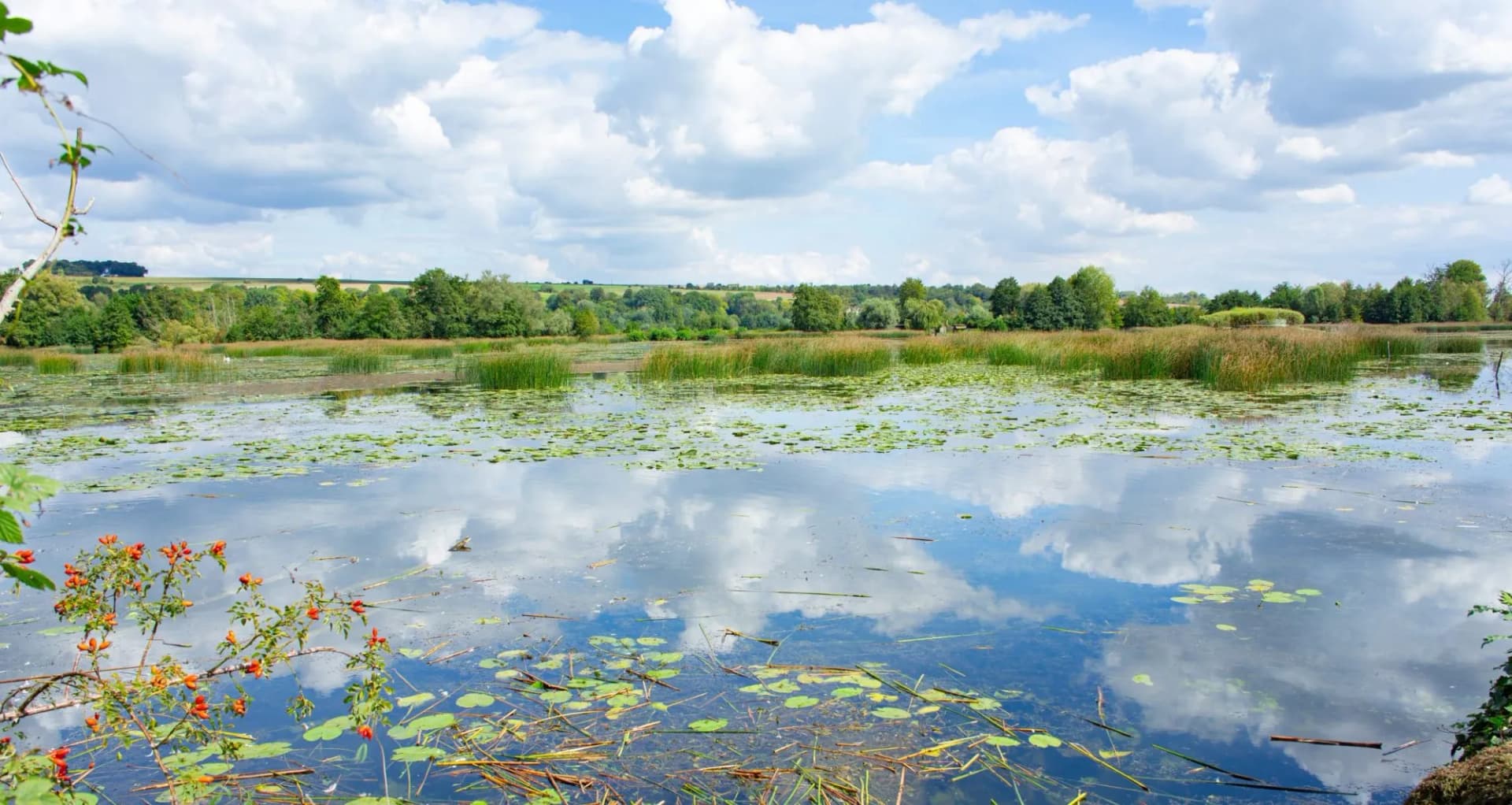 Marshy lake with lily pads reflecting cloudy blue sky, green trees, and Somme Valley landscape.