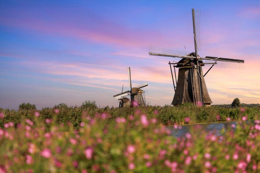 Moulins de Kinderdijk image 1