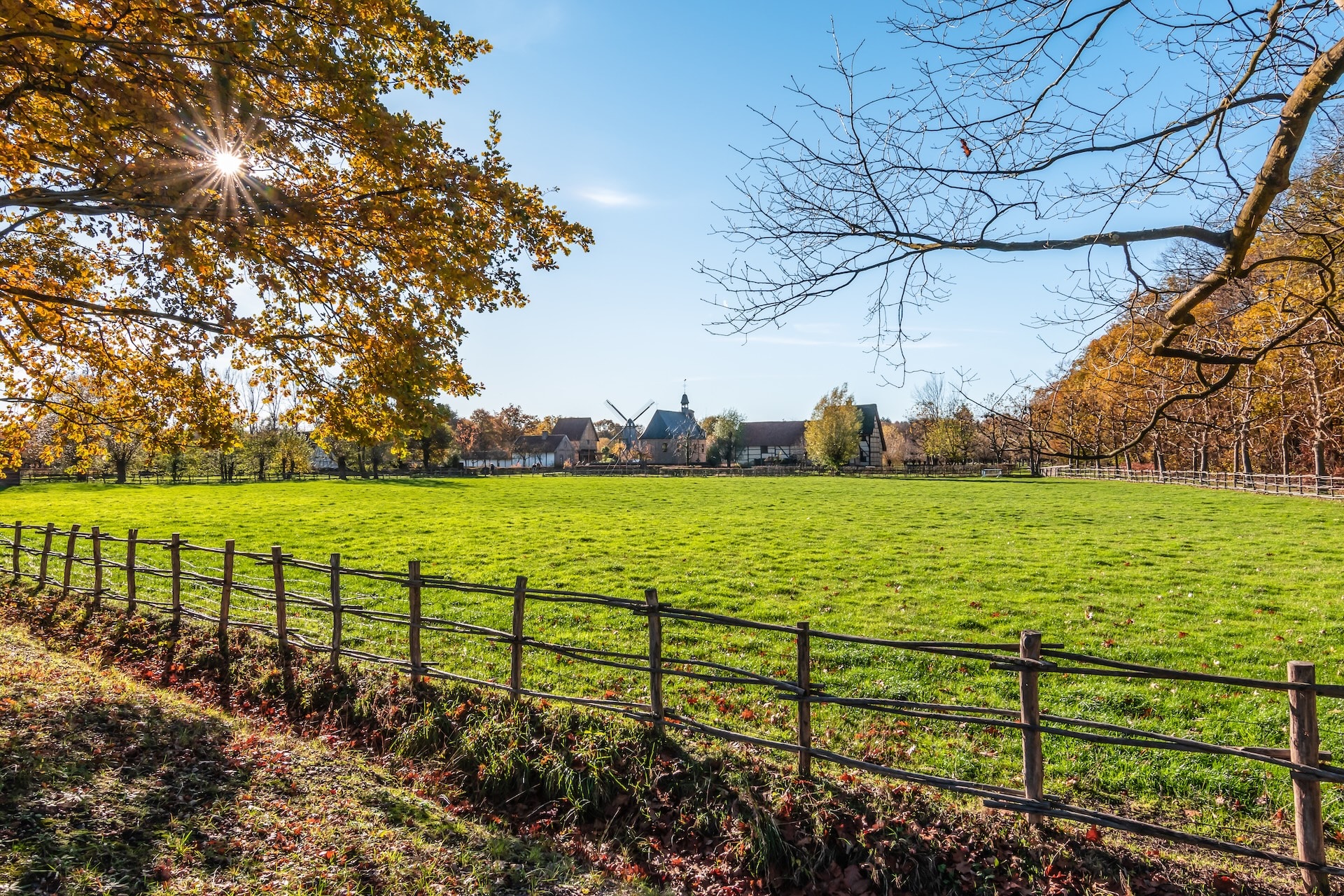 Green field with rustic fence, sunlit autumn trees, and historic buildings with a windmill.