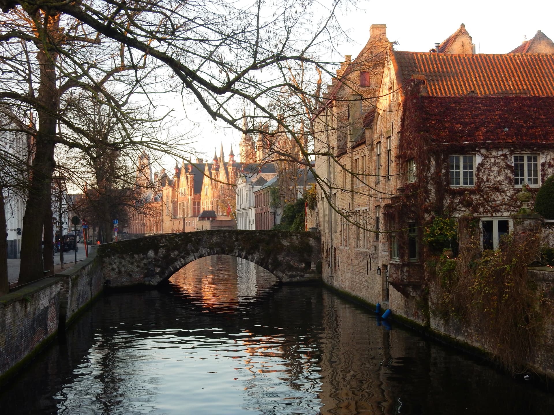 Stone bridge over canal with historic brick buildings and bare tree branches in Bruges.