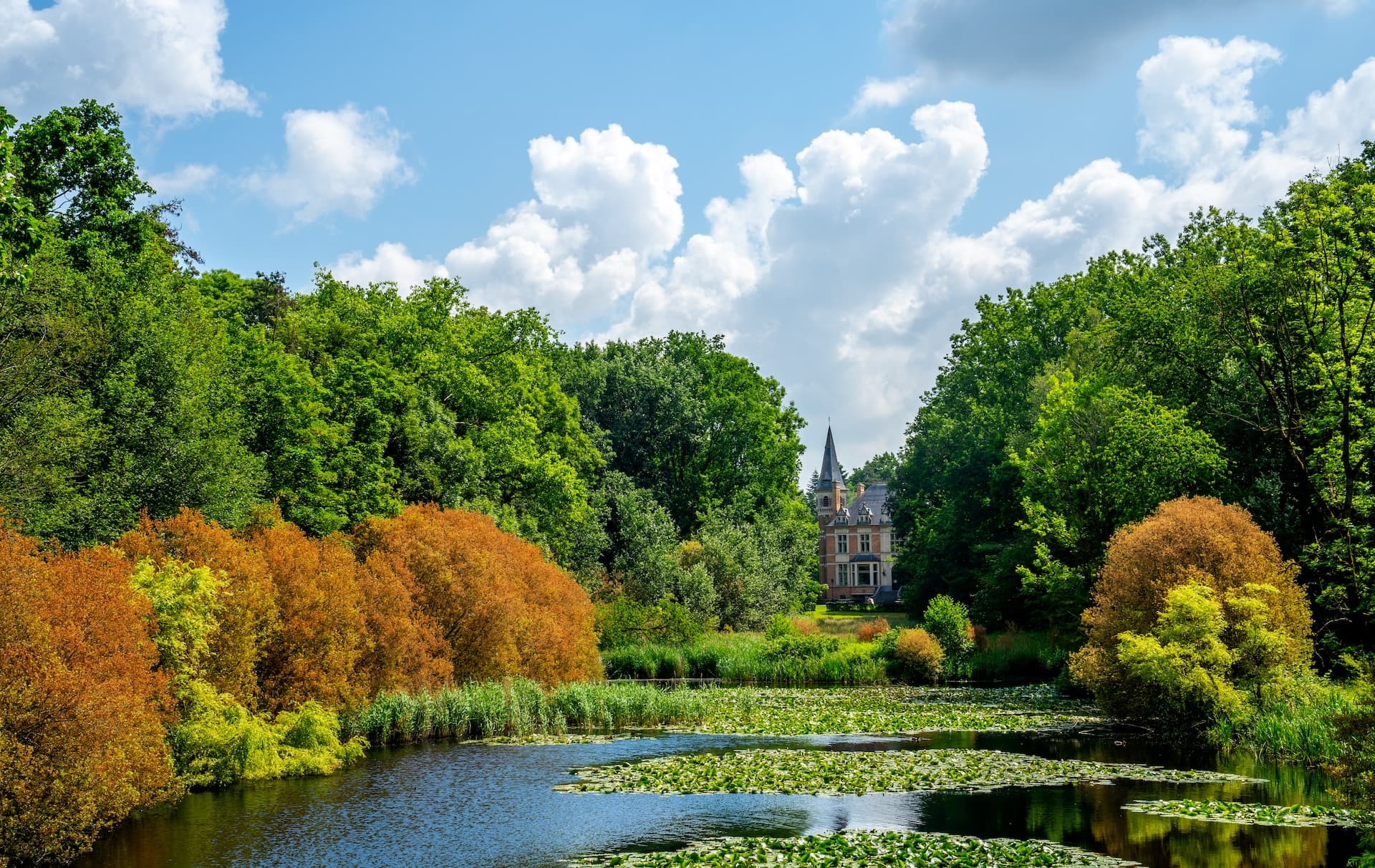Manor house with spire seen through lush trees across a pond covered in lily pads.