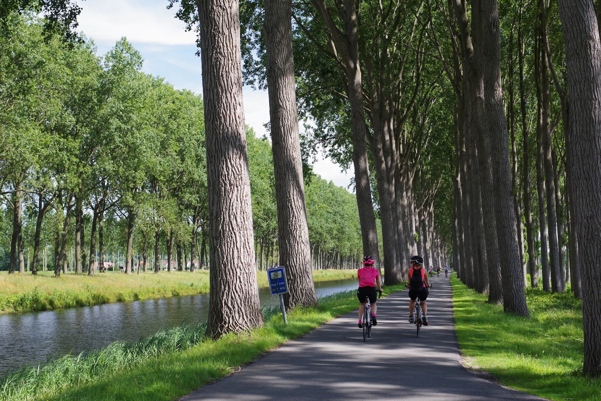 Cyclists riding along a tree-lined canal path between Brussels and Bruges.